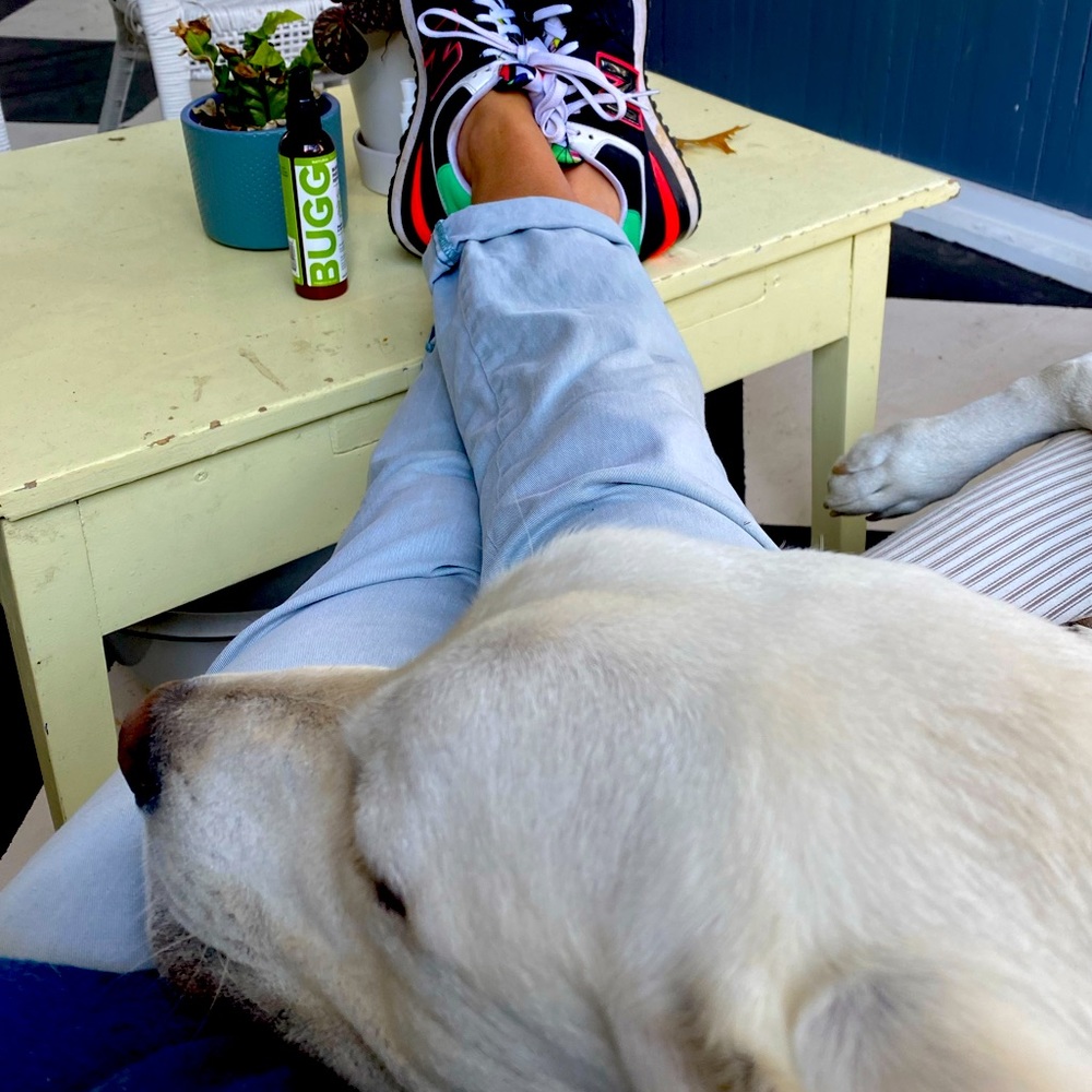 Meet your Posher, Kate